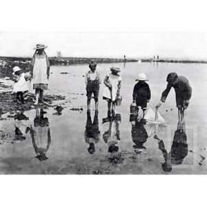 photograph children down devon lane